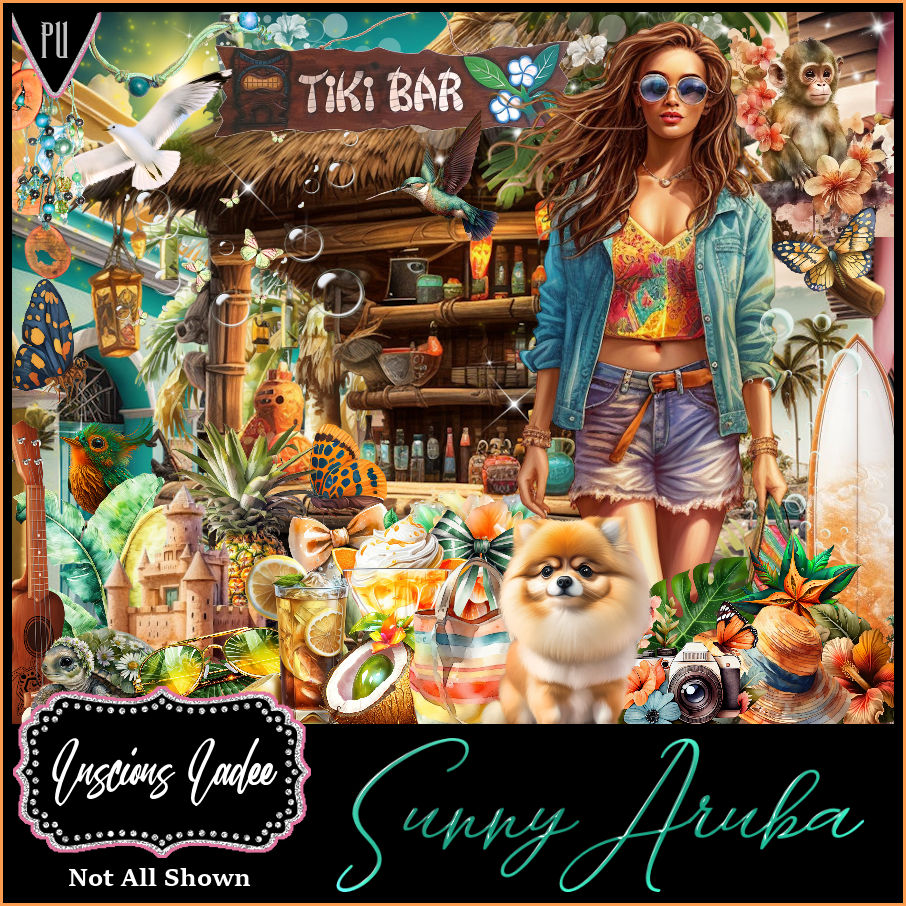 (image for) Sunny Aruba